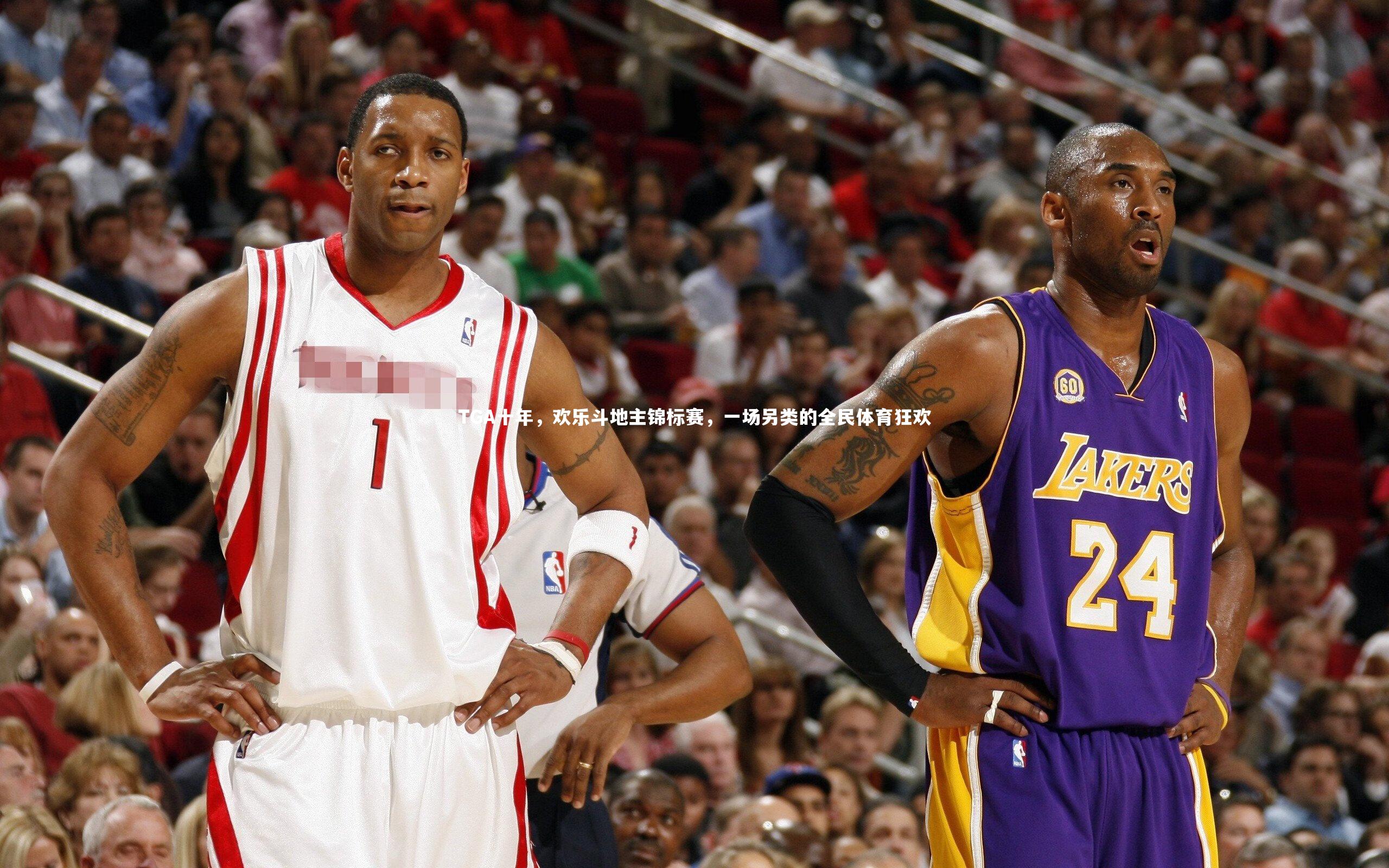 球王会体育官方网站_TGA十年，欢乐斗地主锦标赛，一场另类的全民体育狂欢