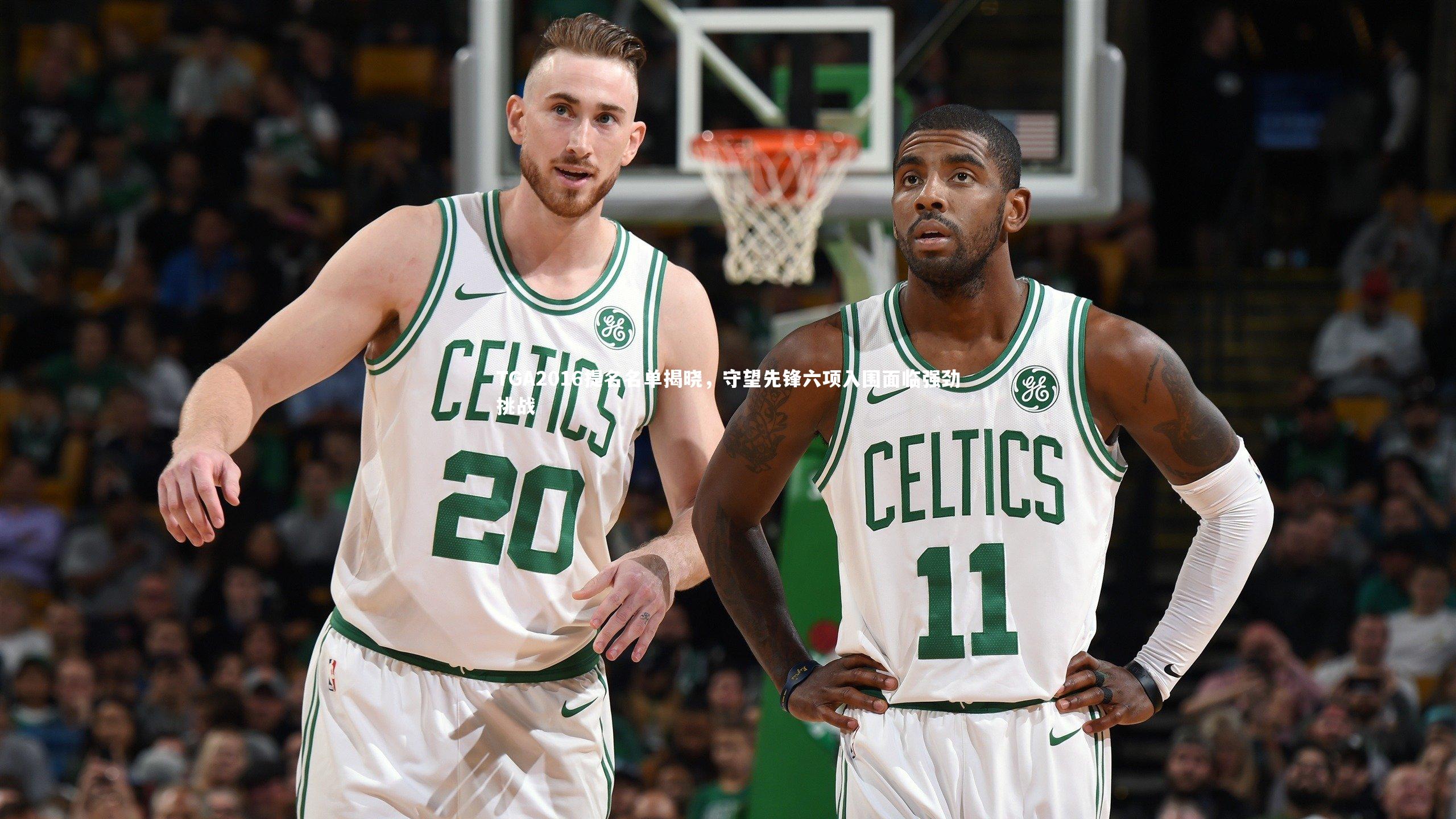 球王会官网|TGA2016提名名单揭晓，守望先锋六项入围面临强劲挑战